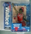 Ben Wallace (Chicago Bulls)